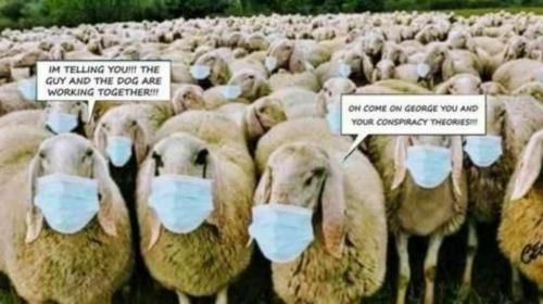 3E1346E0-0AB8-45A6-88CF-90ACC9FB7077