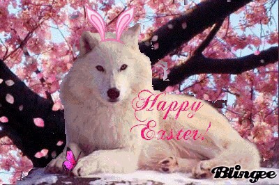 219A6A51-5F39-45CB-87B0-8C74D67830D1