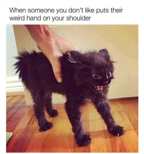 17:30:42 GMT-0500 (CDT)