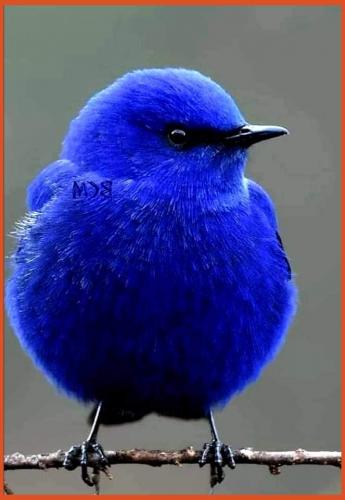 05:00:56 GMT-0500 (CDT)