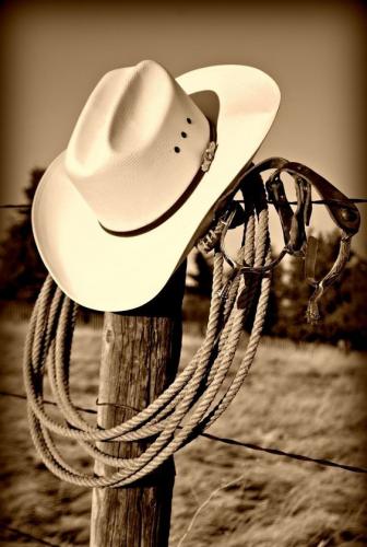 12bbf6a60ea35fefc3b7ee9fc250866e