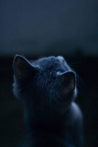 21:35:08 GMT-0500 (CDT)