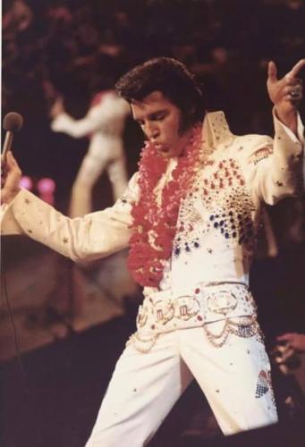 82281095_597380027522817_6890706484431159296_n