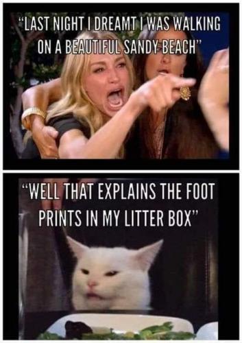 20:00:58 GMT-0700 (PDT)