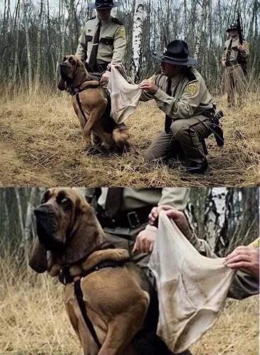 19:09:50 GMT-0500 (CDT)