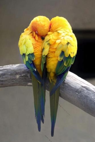 12:50:27 GMT-0500 (CDT)