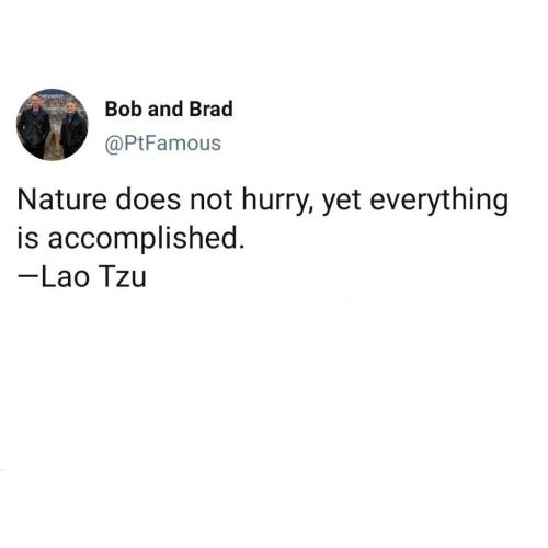 bobnabdbradquote