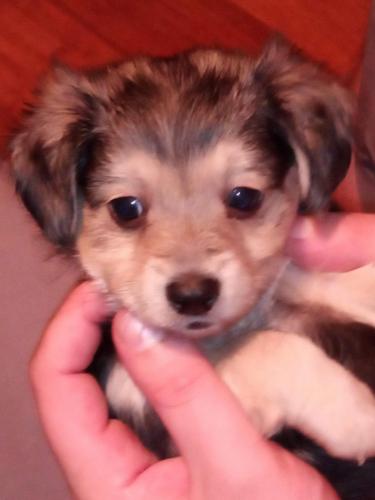 16:05:16 GMT-0400 (EDT)