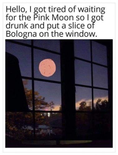 18:36:33 GMT-0400 (EDT)