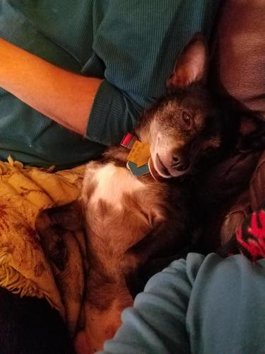 14:07:42 GMT-0400 (EDT)