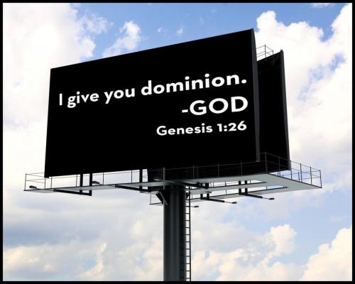 67384877_10157353807663334_6135351127249518592_o