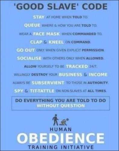obedience00