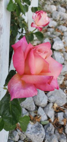 23:34:12 GMT-0700 (PDT)