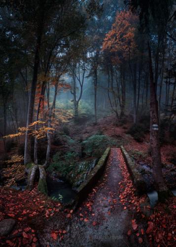 tumblr_02fbfea2b4bf547e1387be0af273317e_ac04dbba_540