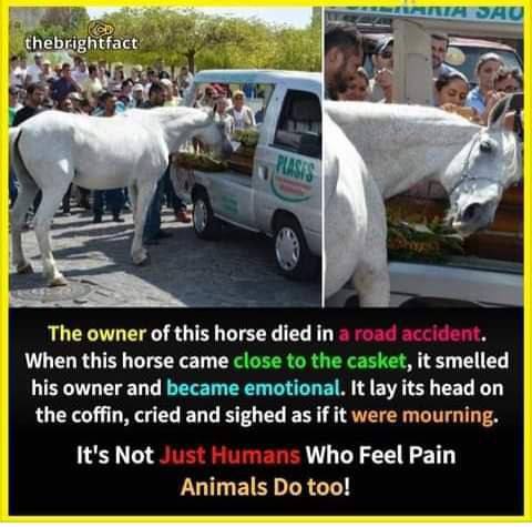 78A63AE0-3845-474A-8892-E931B946D739