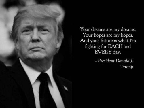 D96E6105-B038-41F3-993F-87BC9DA38B0F