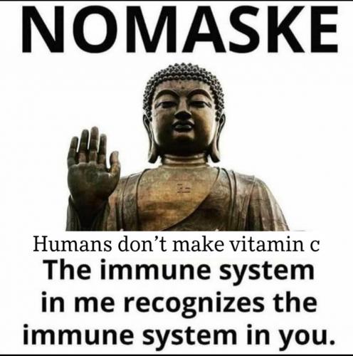 11:01:45 GMT-0500 (CDT).image