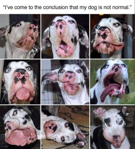 17:16:23 GMT-0500 (CDT)