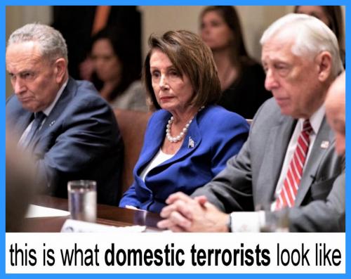 domestic terrorists