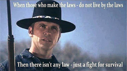 3138f435-069e-43fa-a643-db33145e82c0