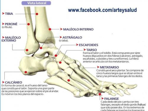 94258919_146693660192660_784622054610567168_n