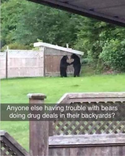 11:23:51 GMT-0700 (PDT)