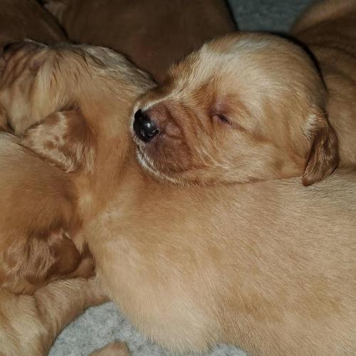 12:33:14 GMT-0400 (EDT)