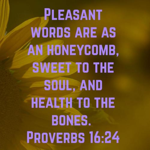 08:28:26 GMT-0500 (CDT)