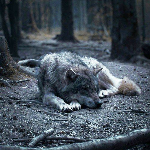 20:10:51 GMT-0500 (CDT)