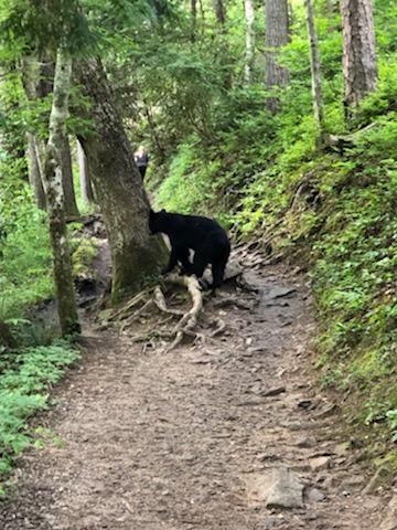 11:19:48 GMT-0400 (EDT).image