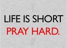 522860_492217350797106_657057418_n