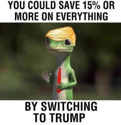 168136378_1488884464789872_6255777483285360237_n