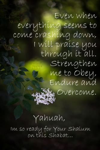 zposted 4 9 21 ca5a2e6ae736ec969f14cab2b1bb8918