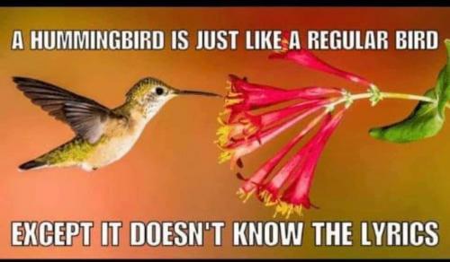 19:36:41 GMT-0400 (EDT)