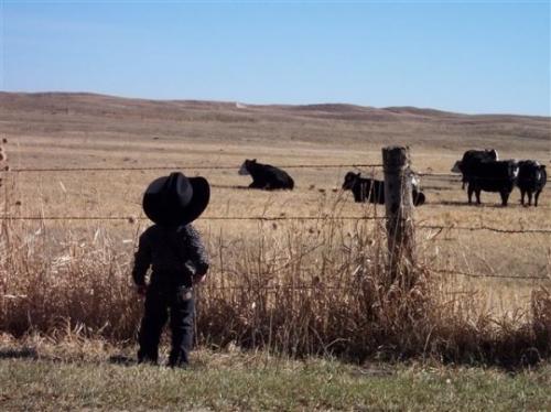 tumblr_p9q4aeaq1Z1sb14fgo1_540