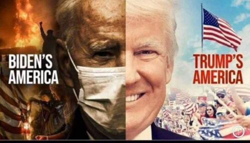 photo_2021-04-01_19-13-05