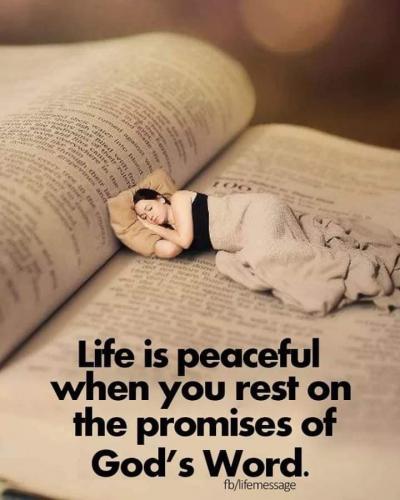 64521927_2513319295353558_7670205970202492928_n