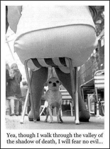 108851402_3963478397056375_8089363375053281959_n