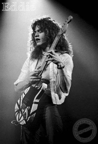 13445233_10204784889462251_8419607284533850559_n