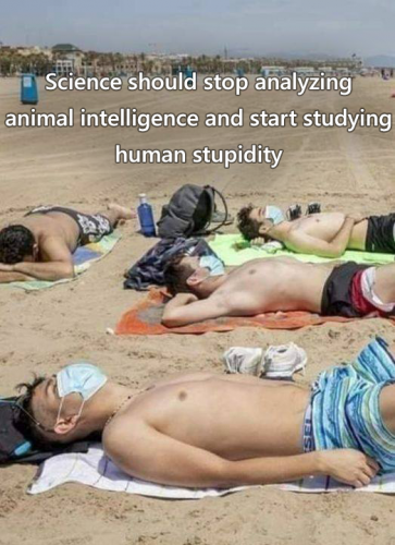 18:20:51 GMT-0400 (EDT)