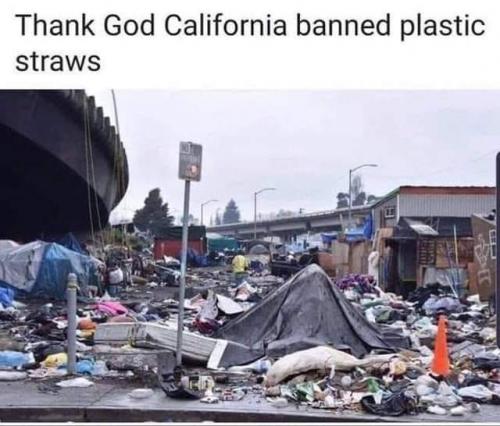 81265134_10218569129034034_3080330585978175488_n