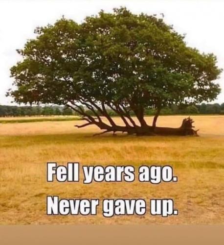 11:05:34 GMT-0500 (CDT)