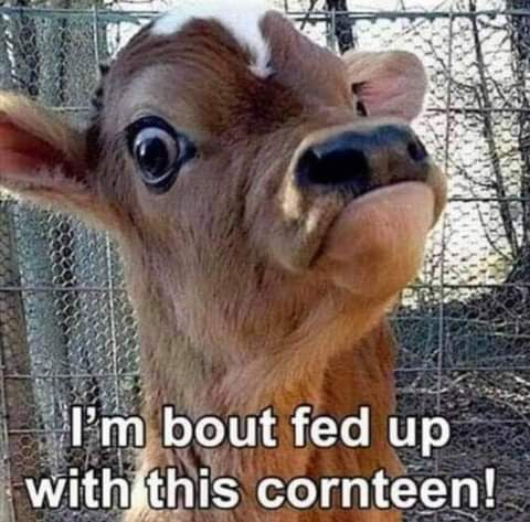 15:12:53 GMT-0700 (PDT)