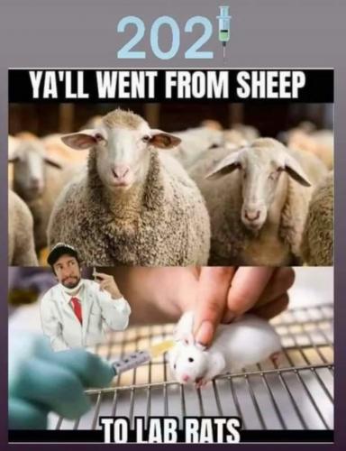 10:25:55 GMT-0500 (CDT)