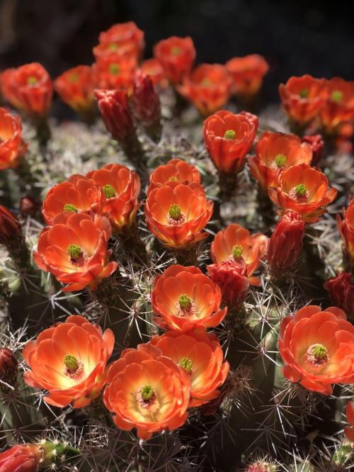 14:13:14 GMT-0700 (MST).image