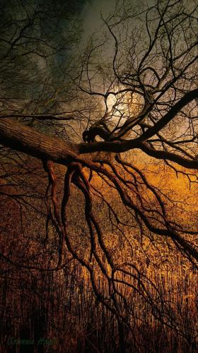 22:18:52 GMT-0500 (CDT)