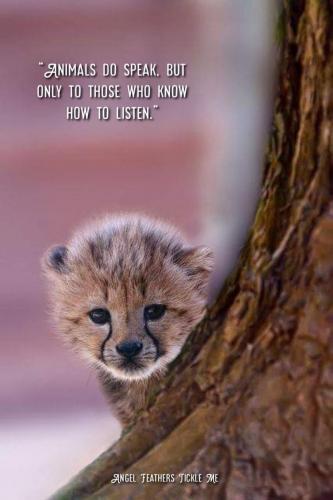 05:55:50 GMT-0500 (CDT)