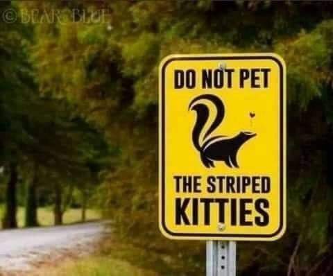 22:58:08 GMT-0700 (PDT)