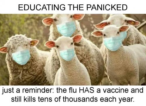 vaccine154