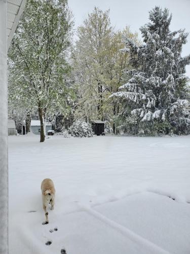 07:35:25 GMT-0400 (EDT)